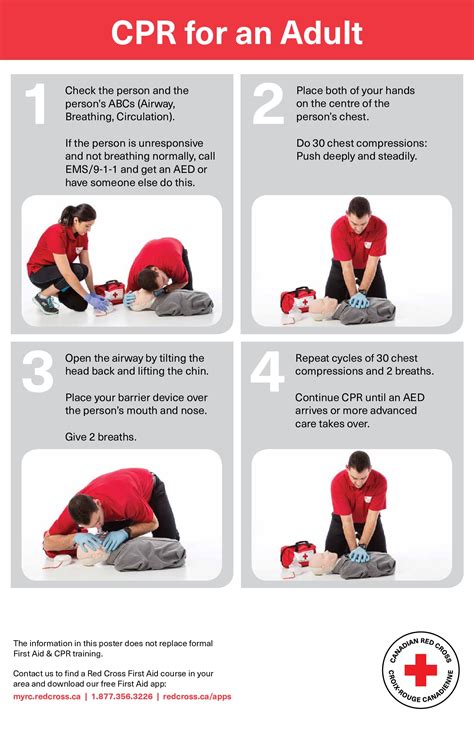 red cross cpr training pdf.